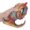 Gode Poulpik 40 x 7 cm Multicolore