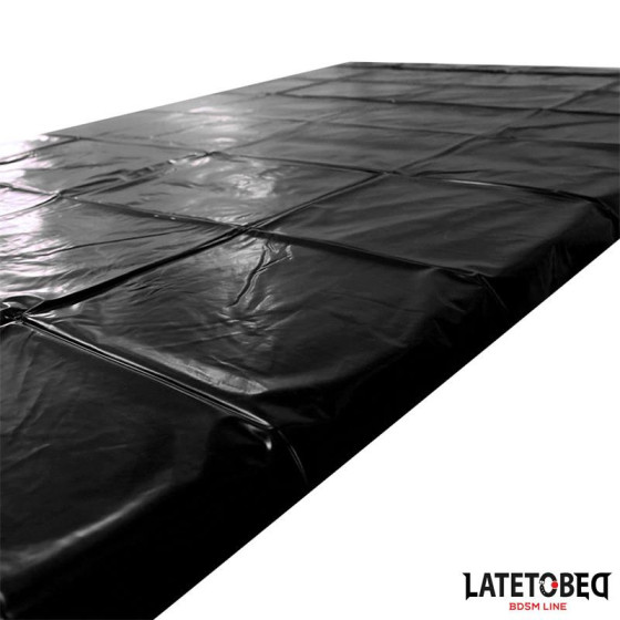 Bâche PVC 220 x 130 cm Noire
