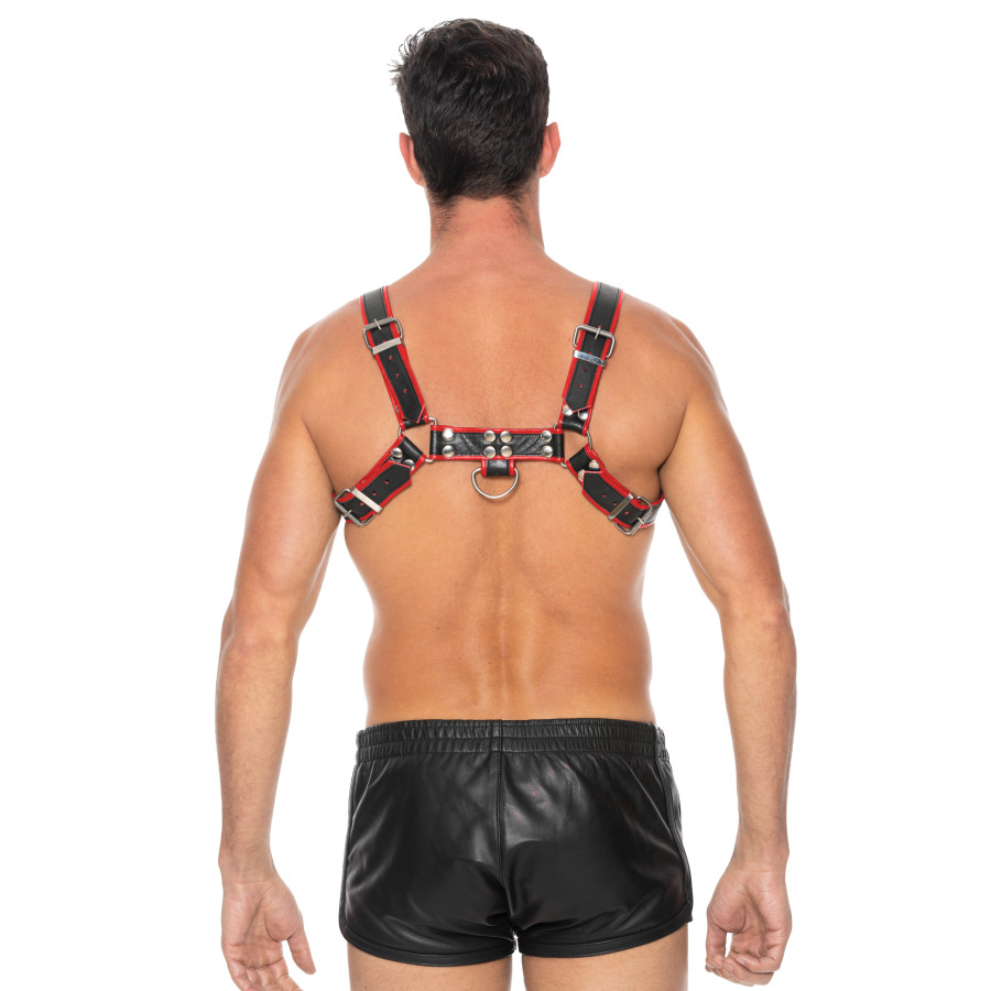 Harnais Chest Bulldog Noir-Rouge