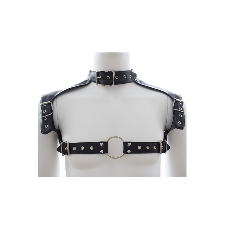 Harnais et Collier Optor Noir