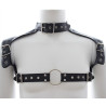 Harnais et Collier Optor Noir