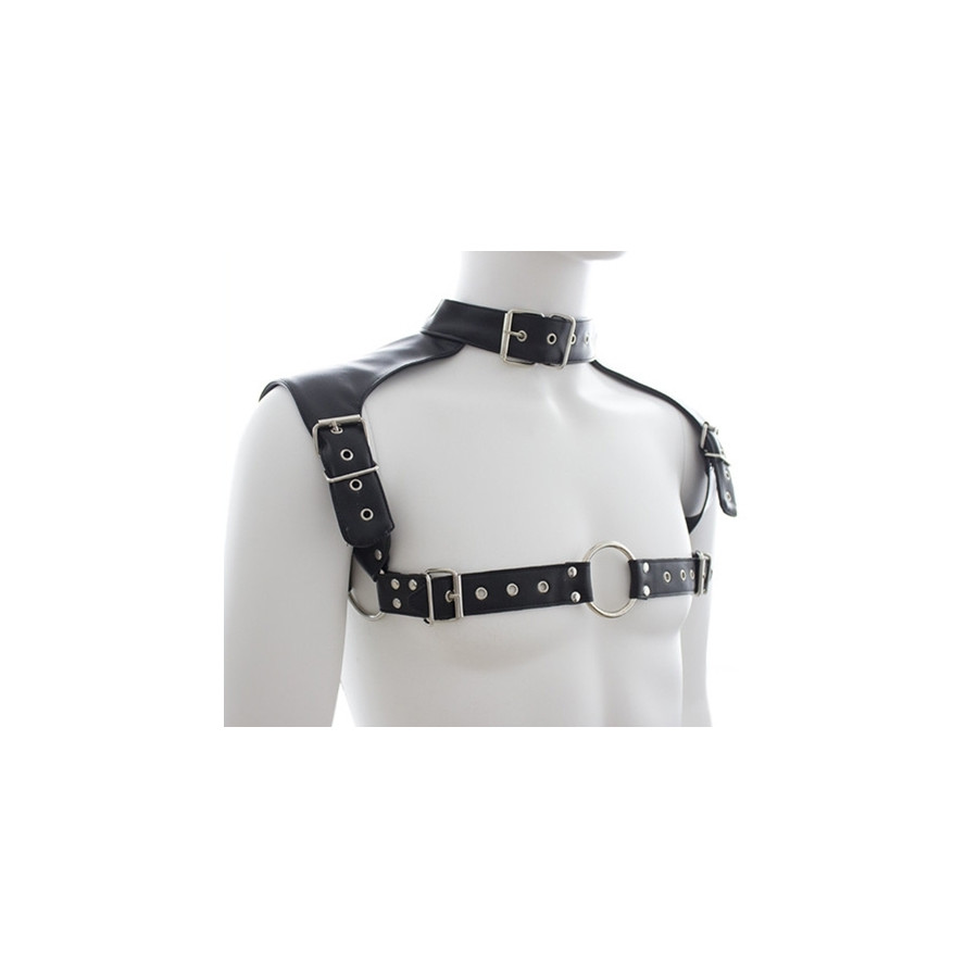 Harnais et Collier Optor Noir