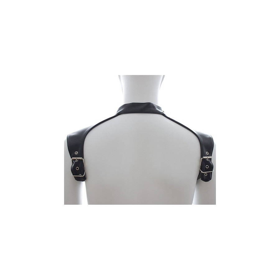 Harnais et Collier Optor Noir