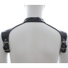 Harnais et Collier Optor Noir