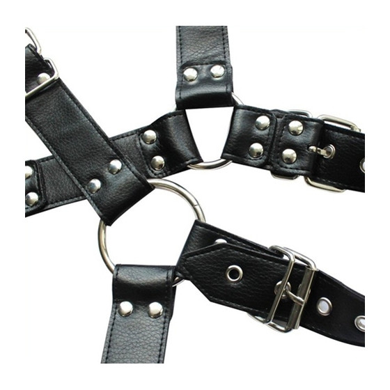 Harnais et Collier Optor Noir
