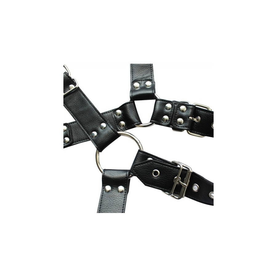 Harnais et Collier Optor Noir