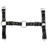 Harnais et Collier Optor Noir