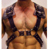 Harnais GLADIATOR SHOULD Noir