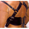 Harnais GLADIATOR SHOULD Noir