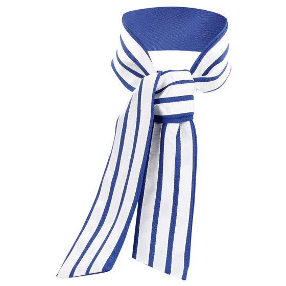 Costume sexy d'Hôtesse de l'air Stewardness S/M