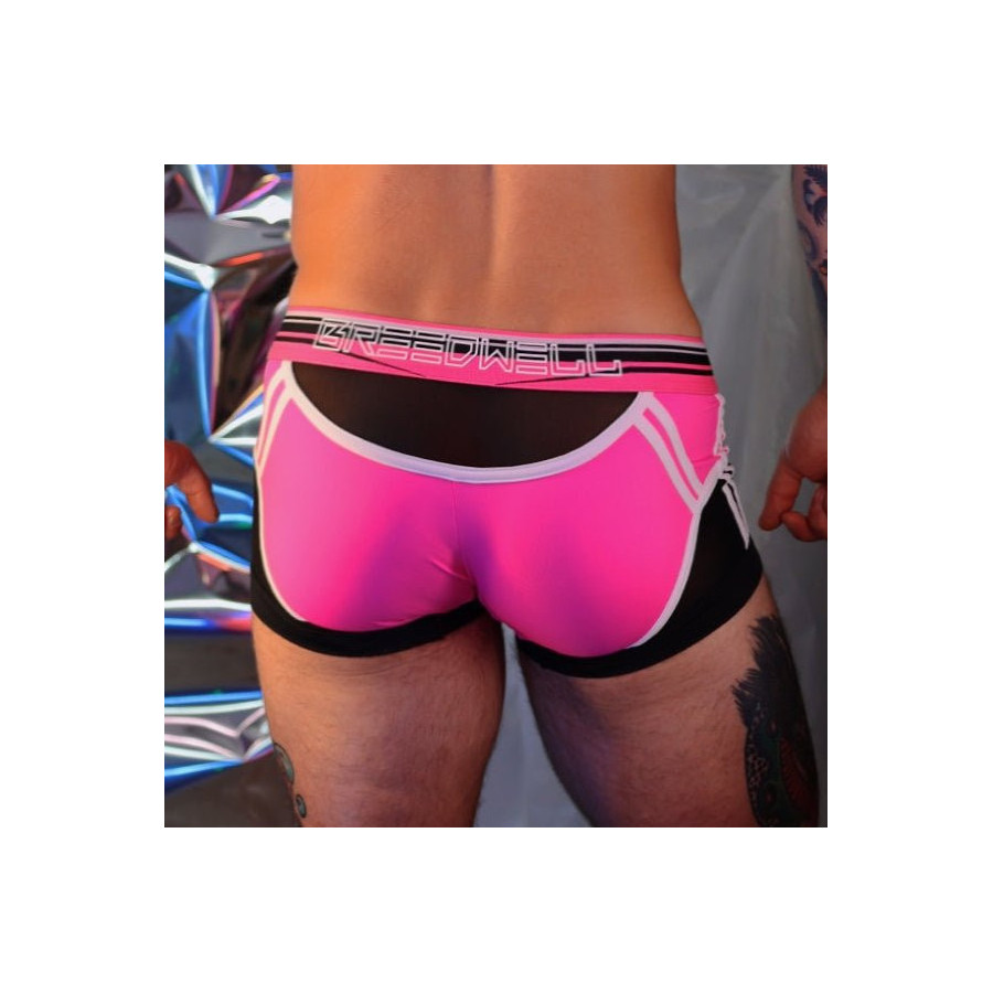 Boxer Circuit Breaker Rose