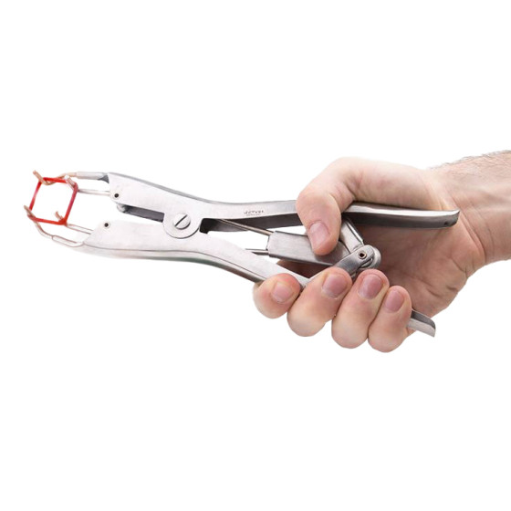 Pince pour Élastiques de Torture Elastratus