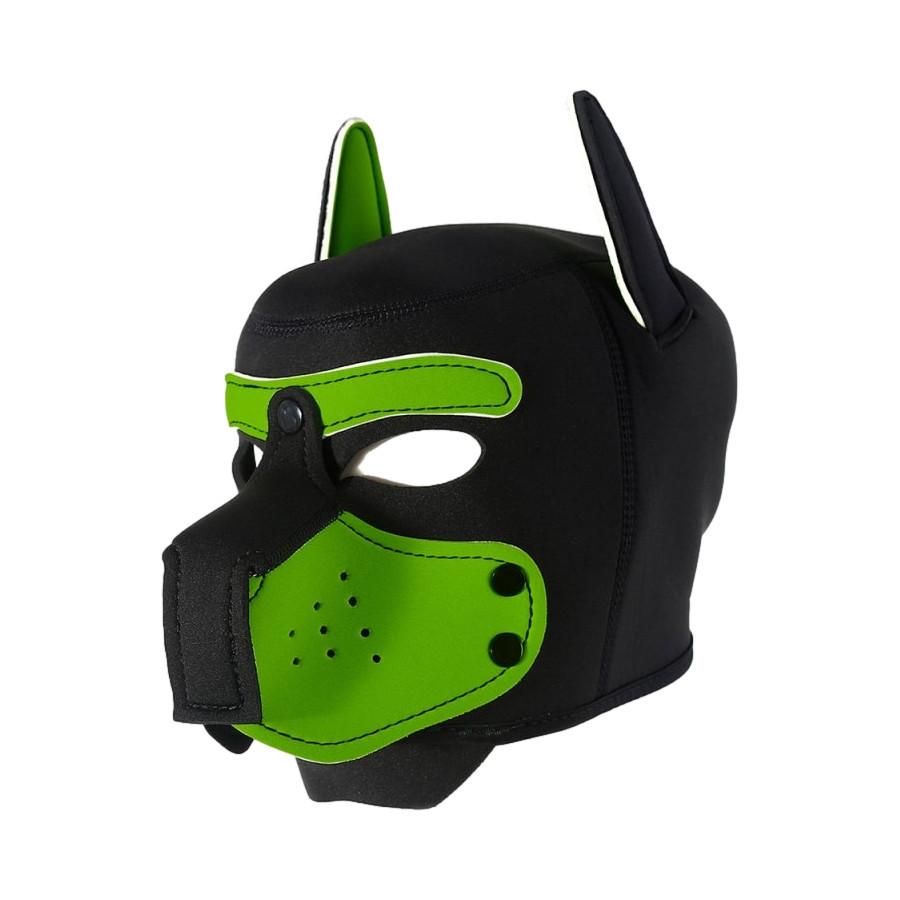 Cagoule Enjoy Puppy Noir-Vert