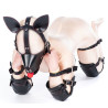 Complete Puppy Bondage Kit 14 Pieces Black-Red