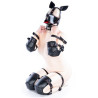 Complete Puppy Bondage Kit 14 Pieces Black-Red