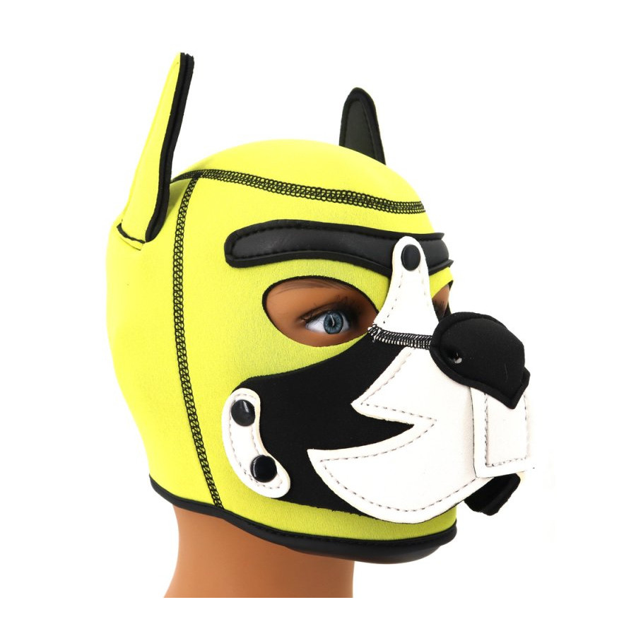 Cagoule Puppy Fox Néoprène Jaune-Blanc