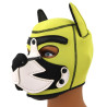 Puppy Fox Neoprene Hood Yellow-White