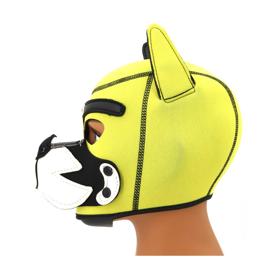 Cagoule Puppy Fox Néoprène Jaune-Blanc