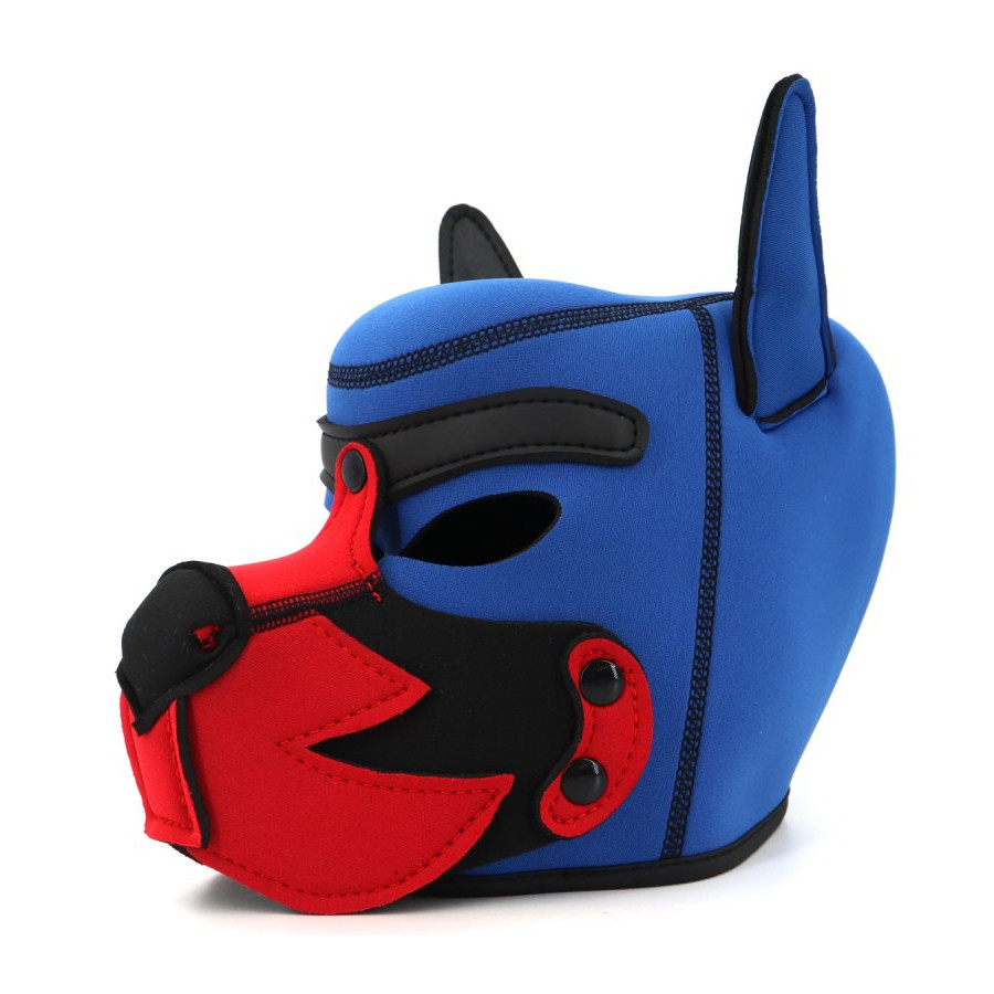 Cagoule Puppy Fox Néoprène Bleu-Rouge