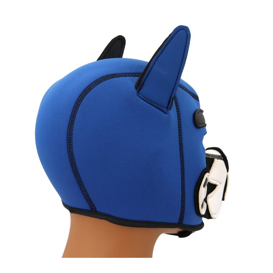 Cagoule Puppy Fox Néoprène Bleu-Blanc