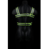 Harnais phosphorescent Glow Body Noir