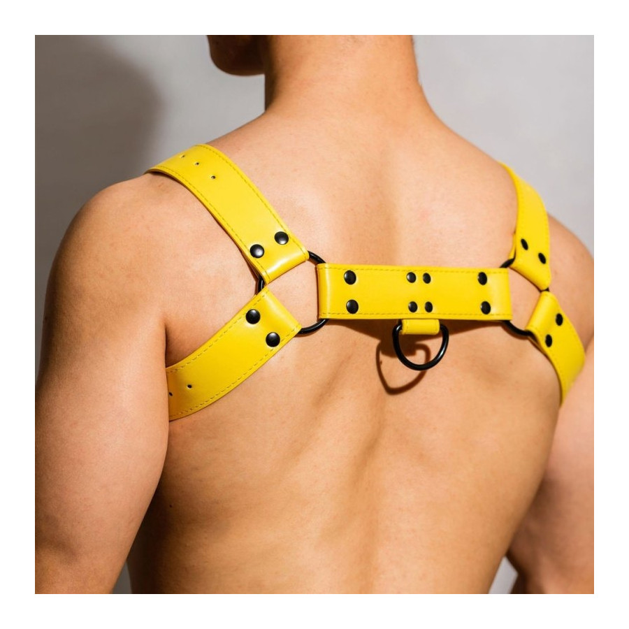 Harnais Chest All Jaune