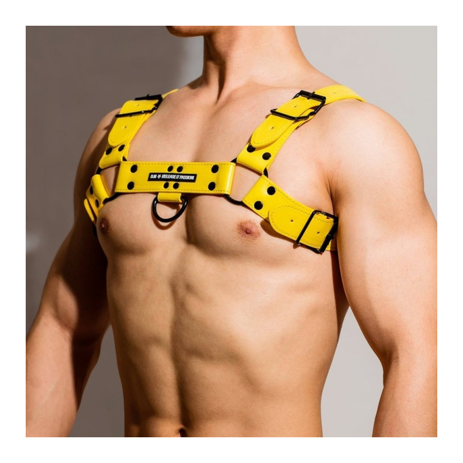 Harnais Chest All Jaune