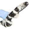 Dildo XL Cowcow 31 x 6.4cm