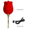 Stimulateur Anulingus Rose Lover