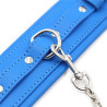 Menottes bleues