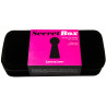 Boîte à sextoys Secret Box Noir
