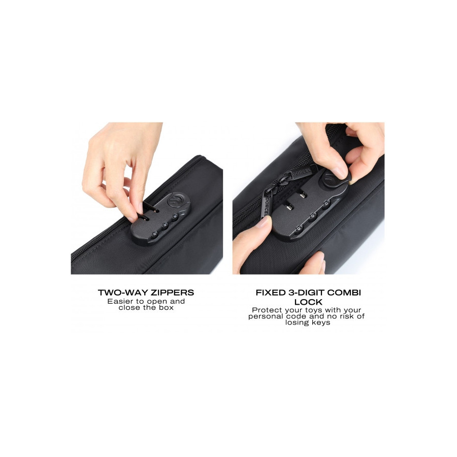 Pochette de transport Discreet Box Dorcel